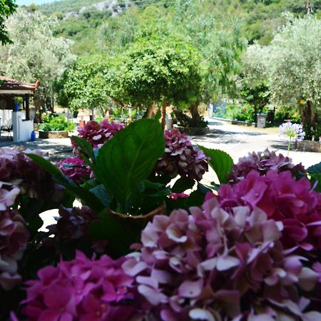 Spiros Rooms Panormos  Dış mekan fotoğraf