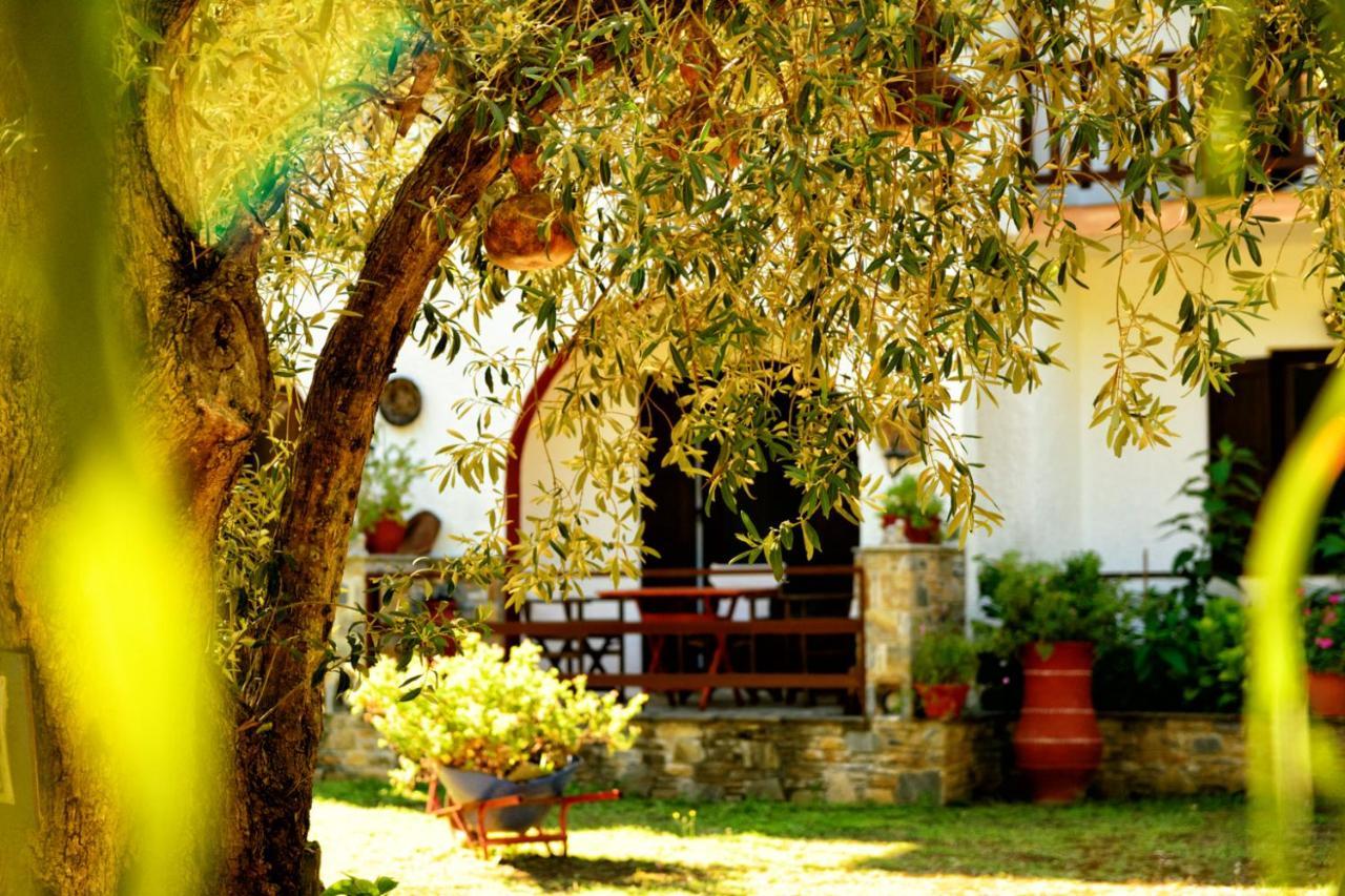 Spiros Rooms Panormos  Dış mekan fotoğraf