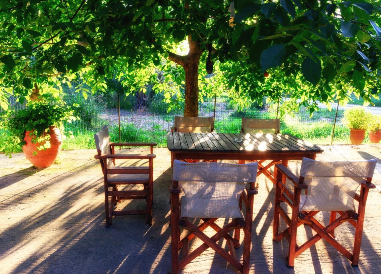 Spiros Rooms Panormos  Dış mekan fotoğraf