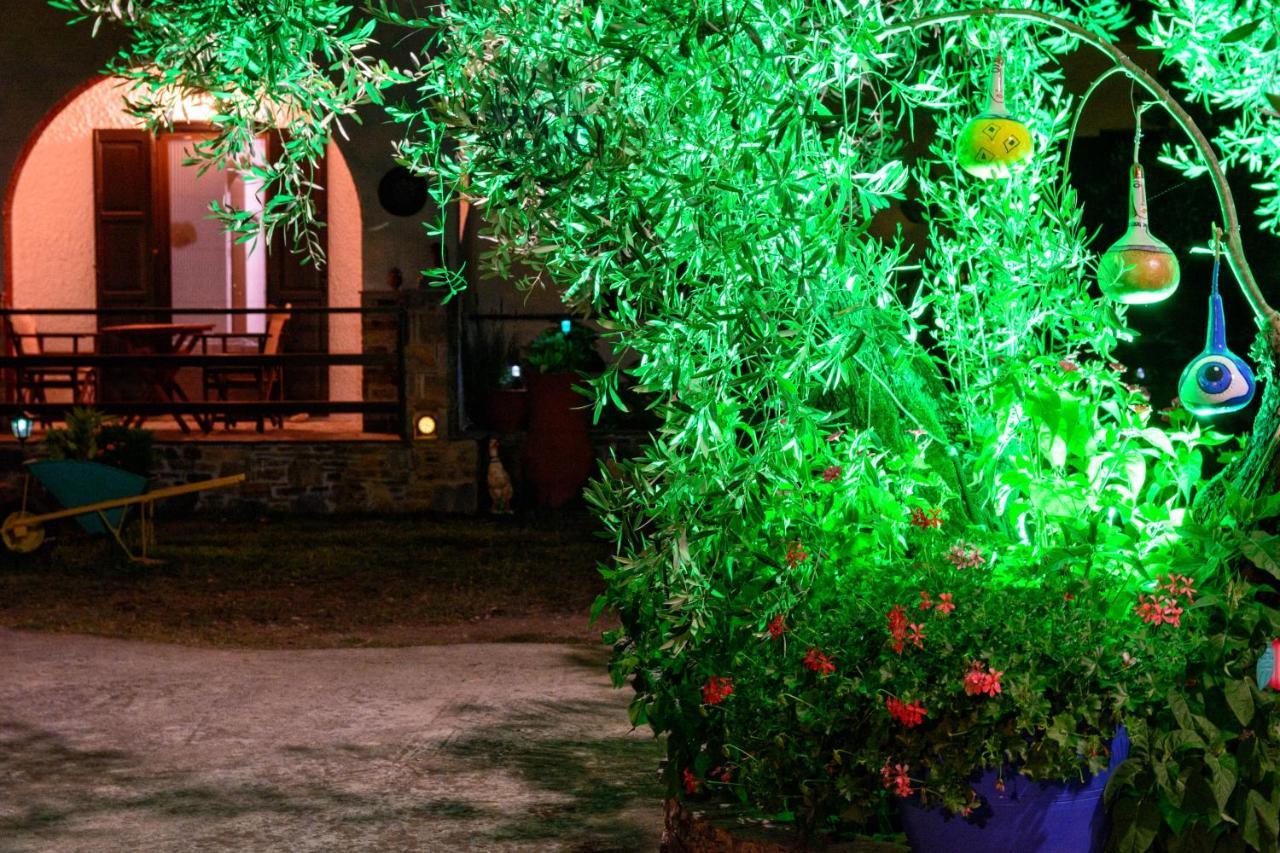 Spiros Rooms Panormos  Dış mekan fotoğraf