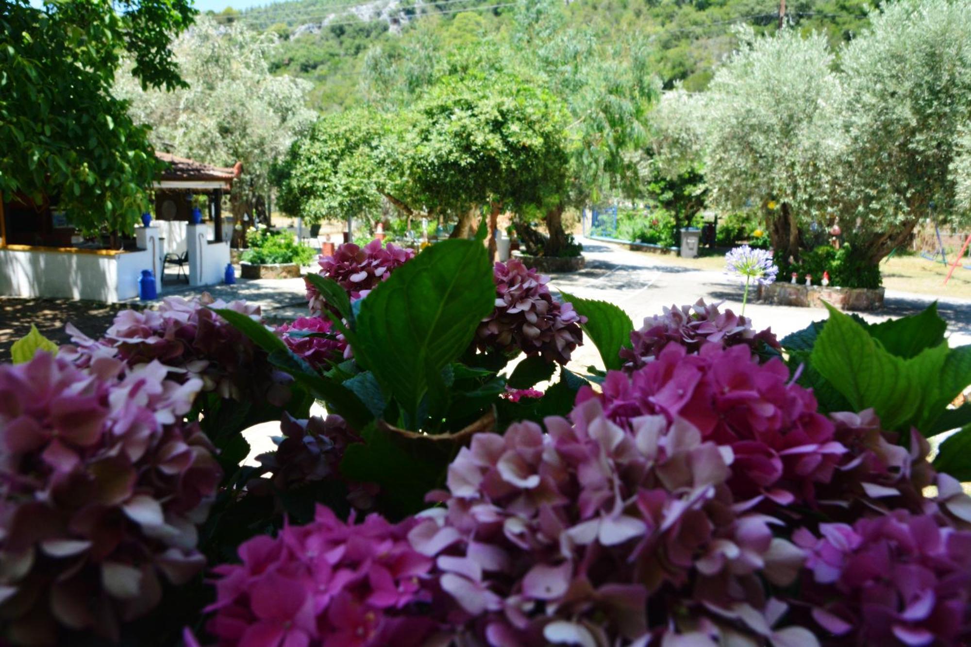 Spiros Rooms Panormos  Dış mekan fotoğraf