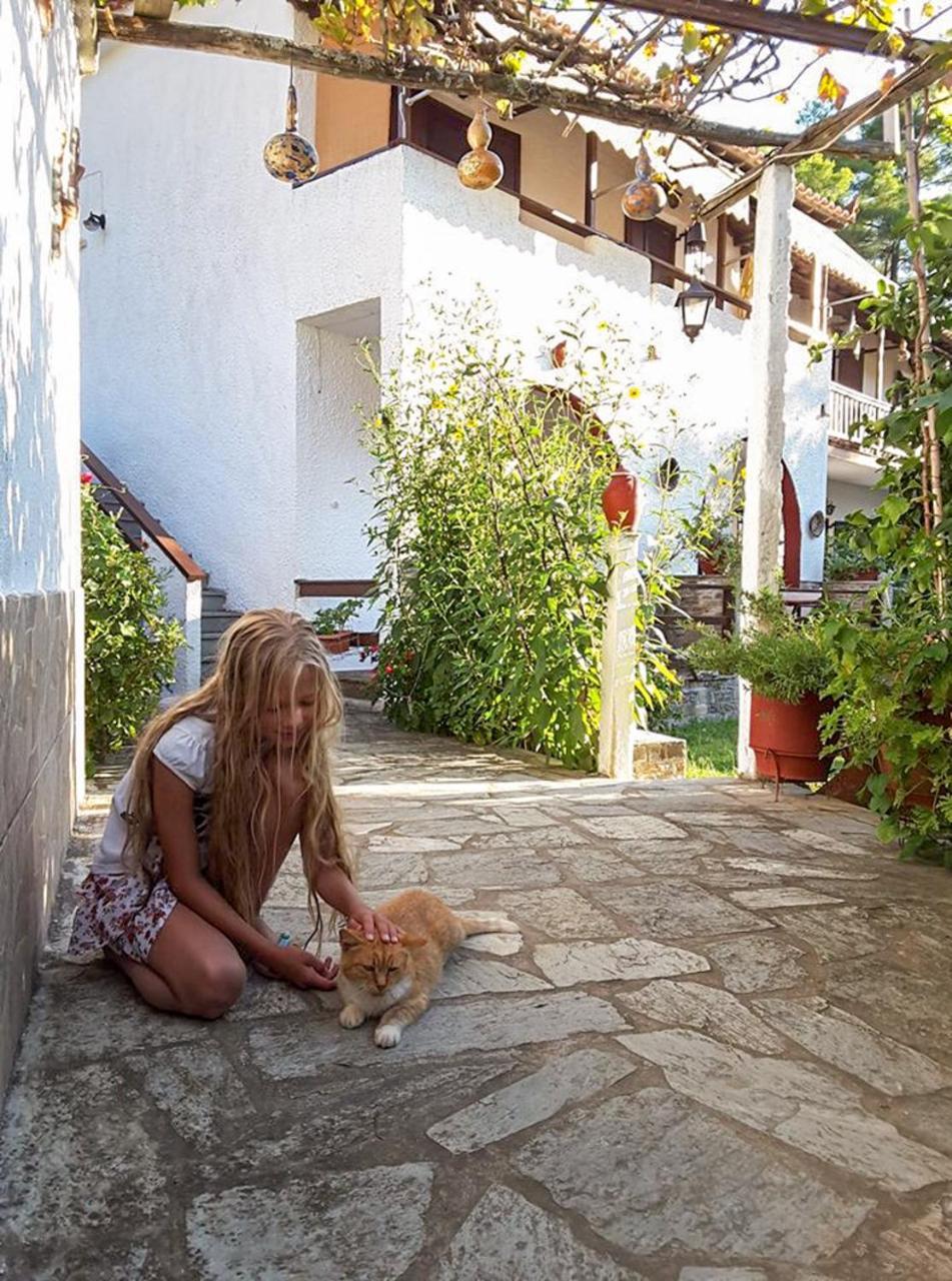 Spiros Rooms Panormos  Dış mekan fotoğraf